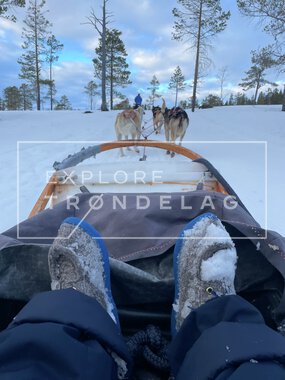 Norway Husky Adventure