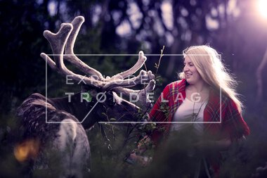 Reinsdyr hos Rørosrein