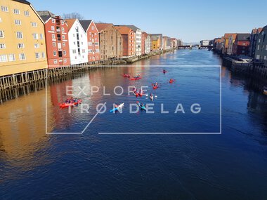 Kajakkpadling i Trondheim