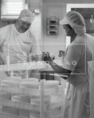 Gangstad Gårdsysteri