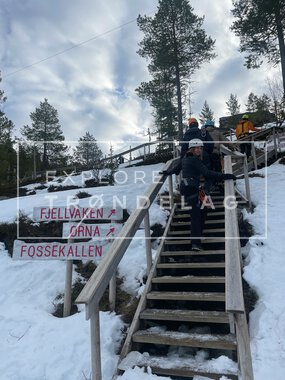 Rypetoppen Adventure Park