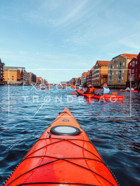 Kajakkpadling i Trondheim