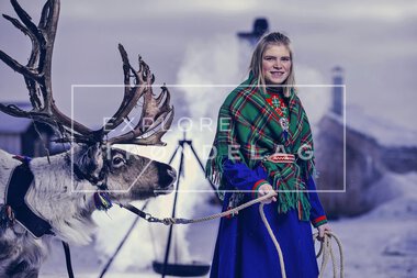 Reinsdyr hos Rørosrein