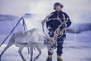 Reinsdyr hos Rørosrein