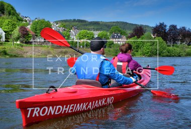 Kajakkpadling i Trondheim