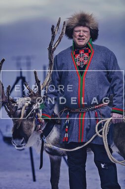 Reinsdyr hos Rørosrein