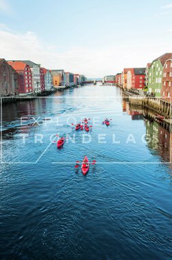 Kajakkpadling i Trondheim