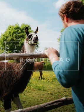 Segelsund gjestehus på Jøa