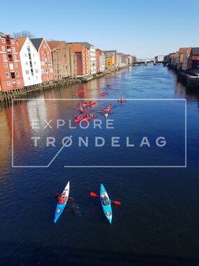 Kajakkpadling i Trondheim