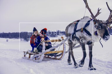 Reinsdyrslede hos Rørosrein
