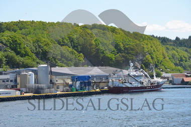 Staaløy ved Pelagia Austevoll