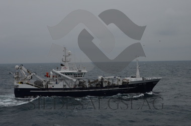 Endre Dyrøy på Nordsjøsilda 2013