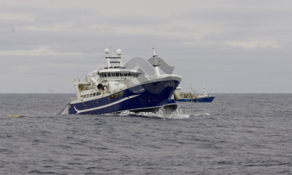 Torbas på loddefiske 2016