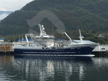 Fiskebas ved Pelagia Liavåg