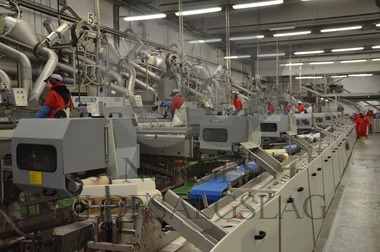 Filetmaskiner ved Pelagia Kalvåg