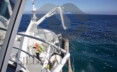 Kings Bay på kolmule fiske