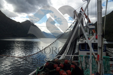  SAMSUNG DIGITAL CAMERA