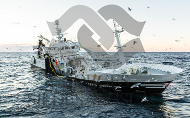 Eks-Fiskeskjer Kolmule 2016