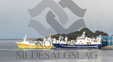 Torbas og X Teigenes gjør seg klar for kolmule