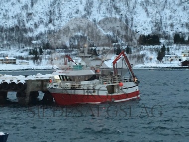 Lossing ved Nergård Sild i Senjahopen