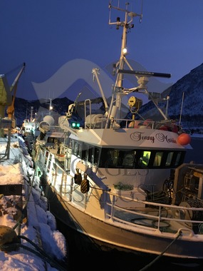 Tonny Marie losser ved Nergård Sild