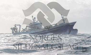 Fiskeskjer på kolmule 2017