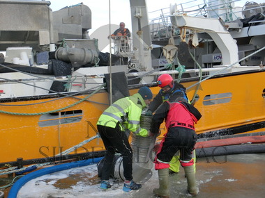 Orfjord losser ved Vikomar