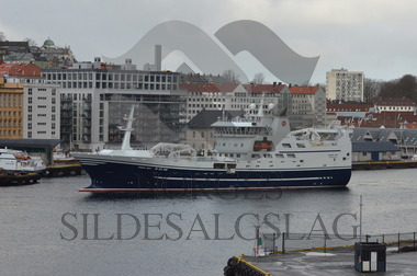 Kings Bay i Bergen for kolmuletokt 2017