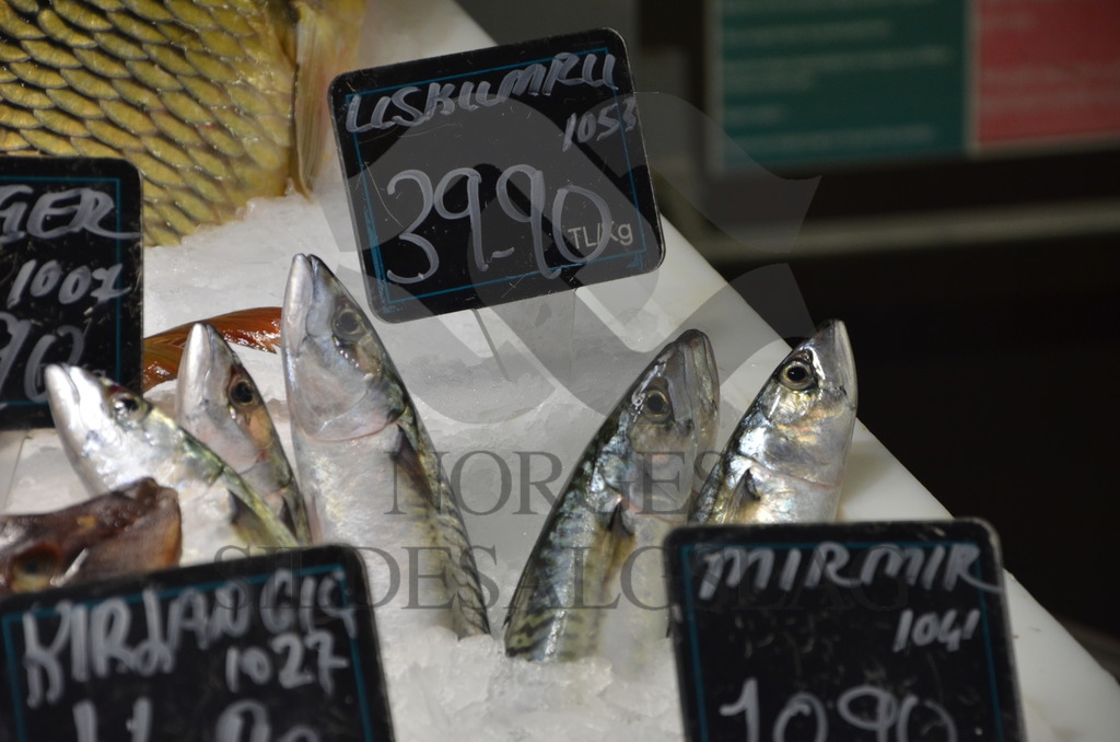Fisk på marked i Tyrkia