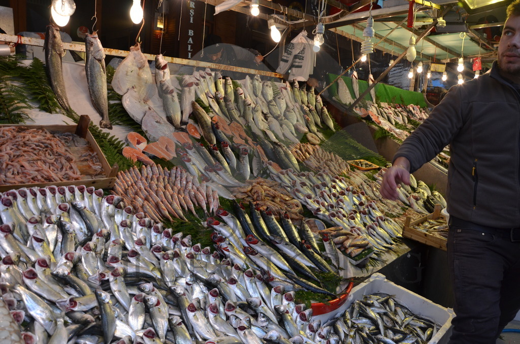 Fisk på marked i Tyrkia