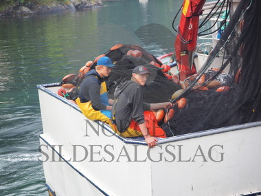 Unge fiskere på Vårbud - birislingfiske    