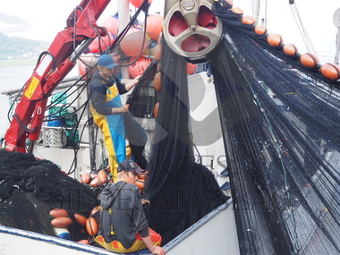 Unge fiskere på brislingfiske med Vårbud   