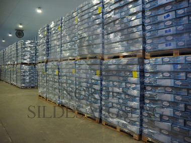 Fisk på lager Northbay    