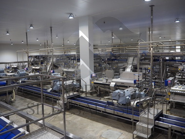 Northbay pelagic fabrikk    