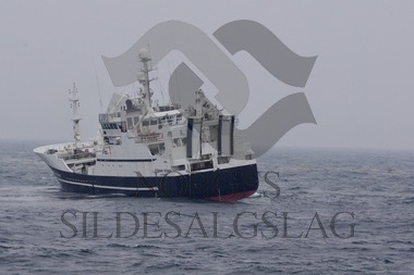 Nordsjøsild 2017 Strand Senior