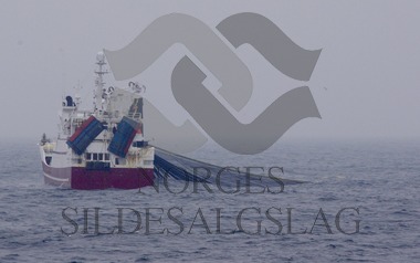 Nordsjøsild 2017 Havskjær