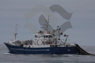 Fonnes på nordsjøsild 2017