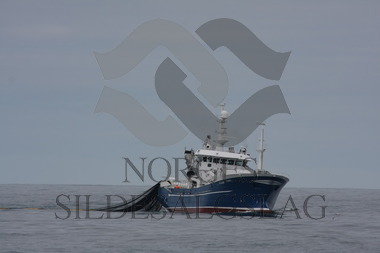 Fonnes på nordsjøsild 2017