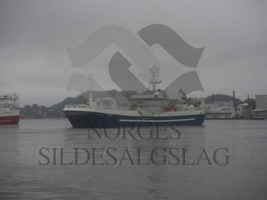 Senior i Egersund havn