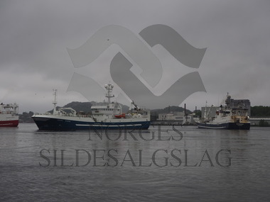 Senior og Rødholmen i Egersund      