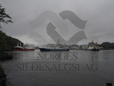 Senior, Rødholmen og Brennholm i Egersund 2017     