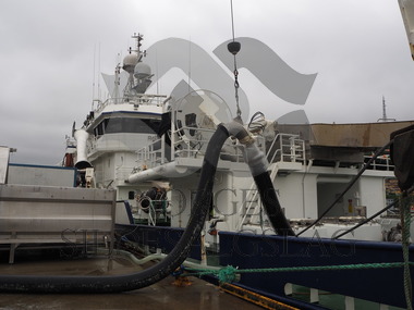 Rødholmen levere nordsjøsild til matjes ved Egersund Seagood