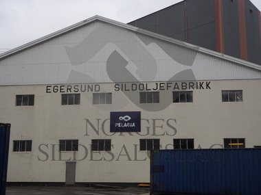 Egersund Sildoljefabrikk  