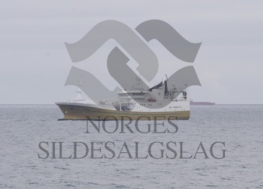 X Teigenes på nordsjøsild 2017
