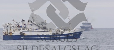 X Selvåg Senior på nordsjøsild 2017