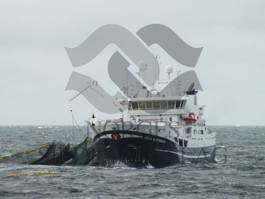 M.Ytterstad på makrell 2015