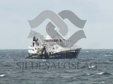 M.Ytterstad på makrell 2015