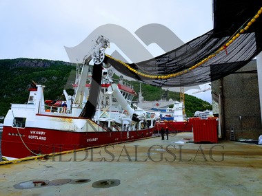 Bilder fra Vikanøy Nordsjøsild Juni 2017