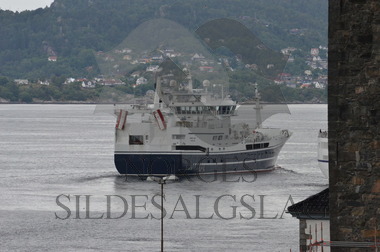 Kings Bay i Bergen før makrelltokt