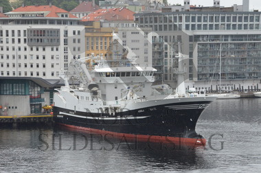 Vendla i Bergen før makrelltokt